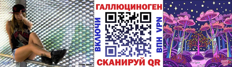 Псилоцибиновые грибы Psilocybine cubensis  darknet наркотические препараты  Новочебоксарск  где купить  